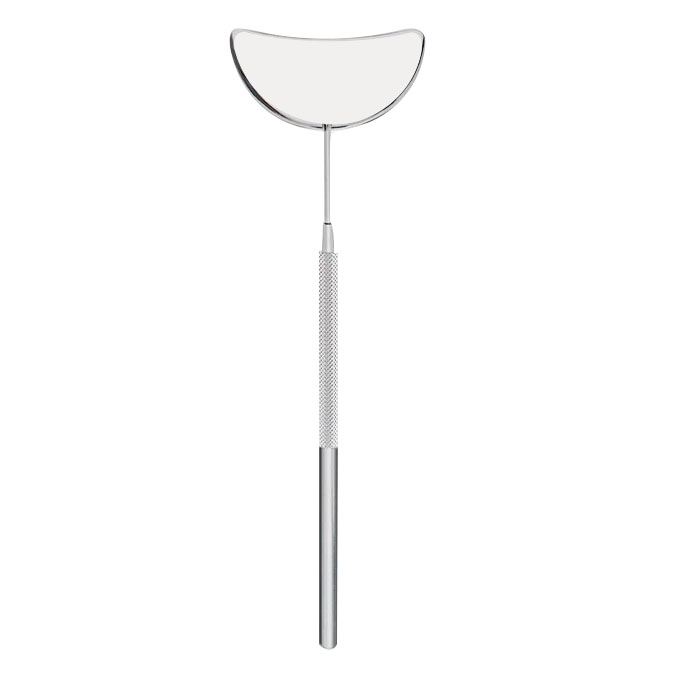 Lash Mirrors
